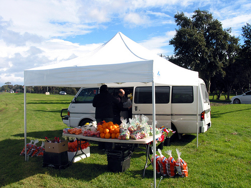 Apex Park Flowers Stall 1