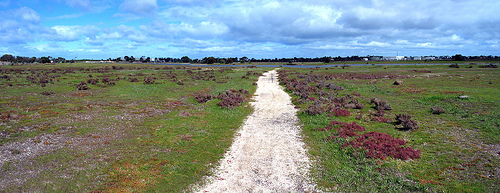 Truganina Swamp M