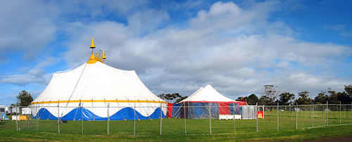 Apex Park Circus C