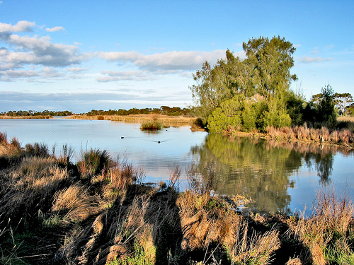 Cherry Lake 053