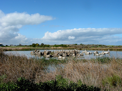 Jawbone Reserve 021