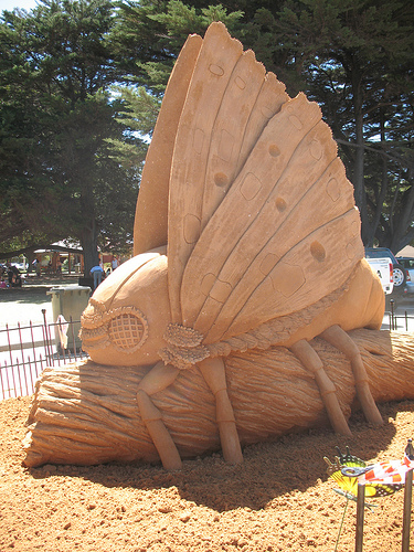 sand sculptures