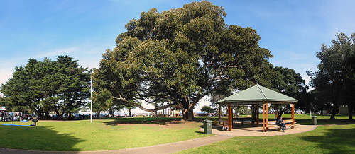 Logan Reserve A