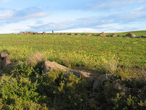 Truganina Park C2