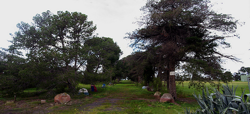 Pines Scout Camp B