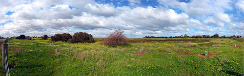 Altona Coastal Park A