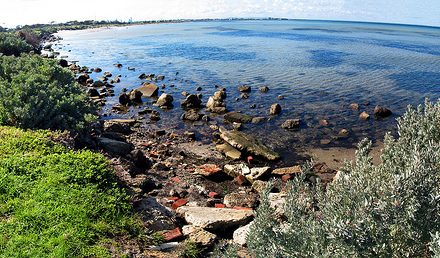 Altona Coastal Park