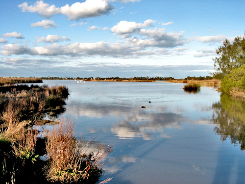 Cherry Lake 055