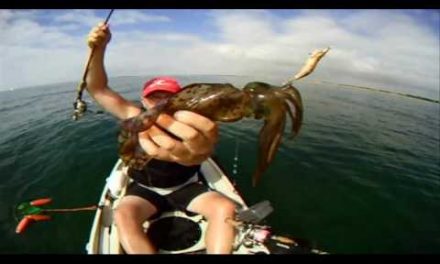 Videos on Fishing in Altona