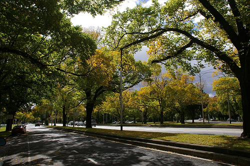 Autumn in Melbourne