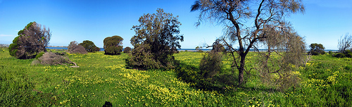 P.A. Burns Reserve C