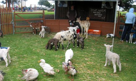 Altona Beach Market 6th Birthday