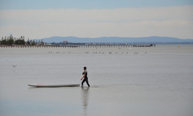 View of Dandenong Mountain Ranges from Altona