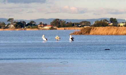 Altona – A Place of Water Abundance