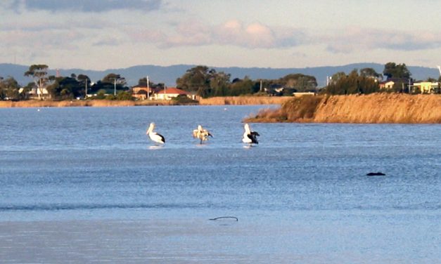 Altona – A Place of Water Abundance