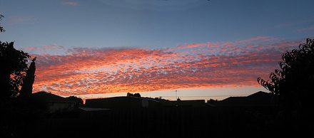 Backyard Sunset