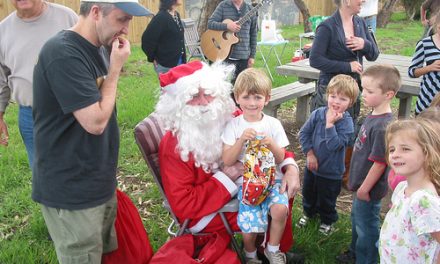 Seaholme Sustainability Street Christmas Party 2010