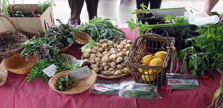 Newport Fruits & Vegetables Swap