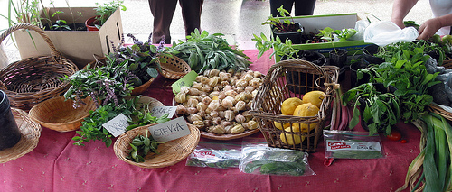 Newport Fruits & Vegetables Swap