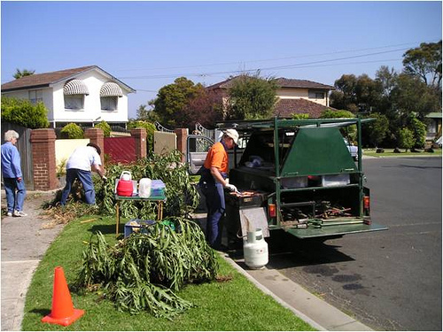 Planting 2