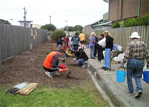 Planting