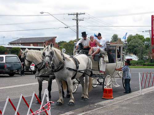 Horse Carriage 1