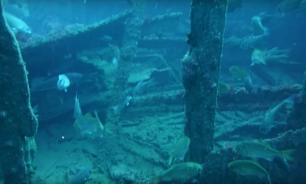 Shipwrecks in Port Phillip Bay