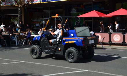 Altona Beach Festival 2011