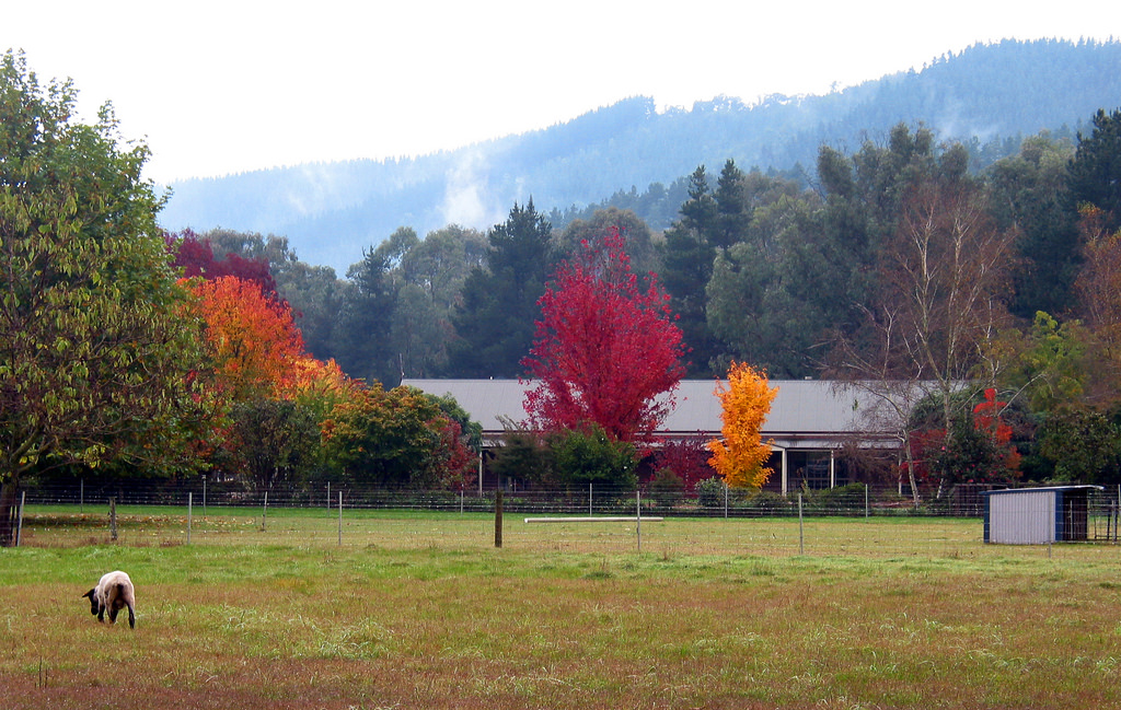 Great Alpine Road Farm 03