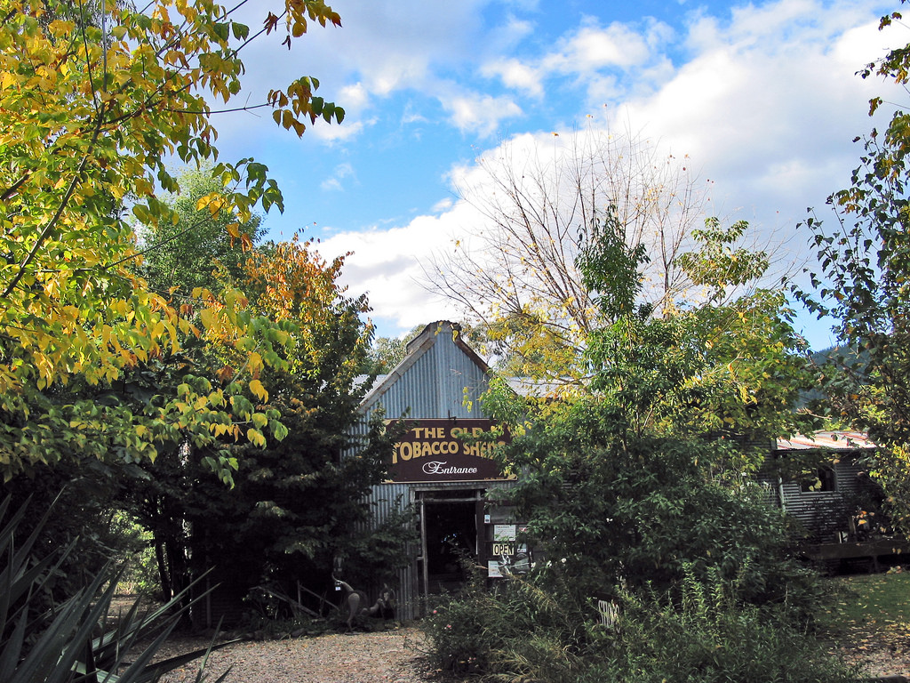  Old Tobacco Sheds 04