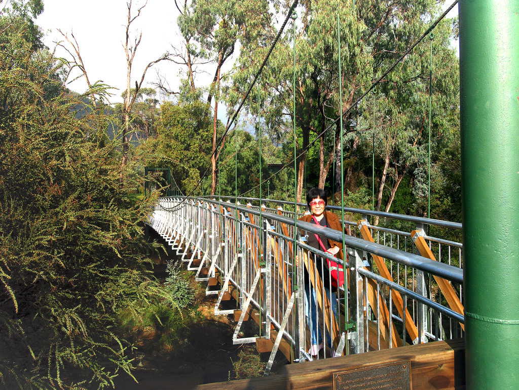 Suspension Bridge A