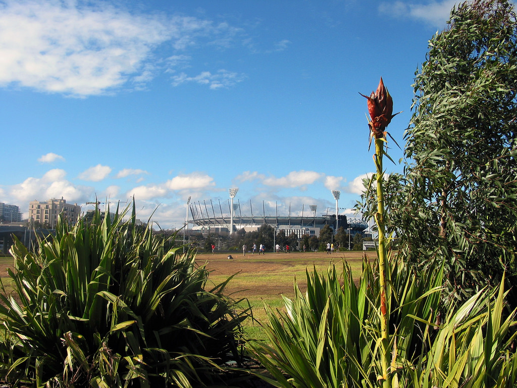 melbourne cricket ground