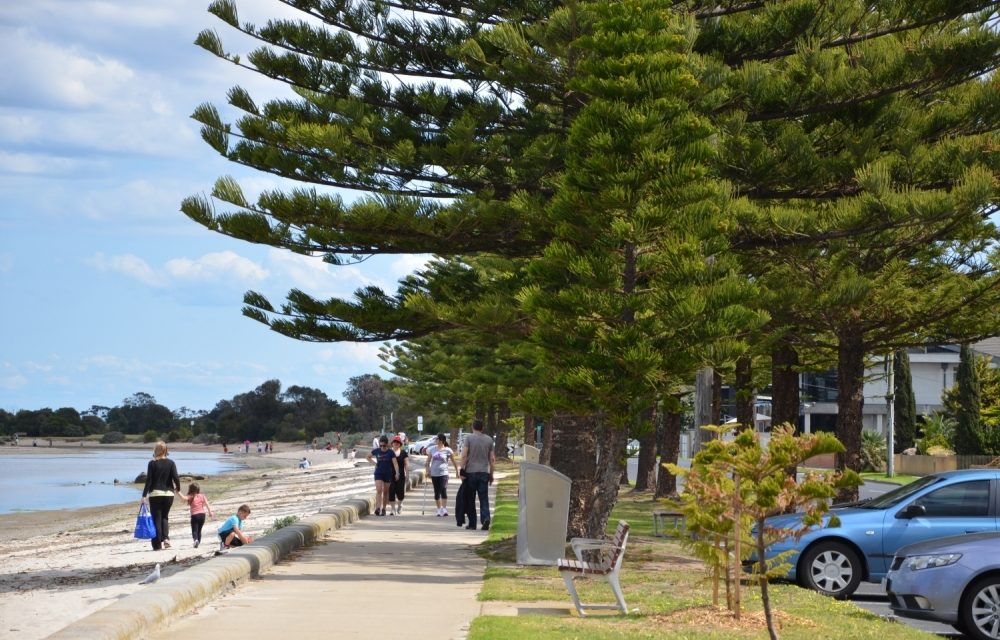 Altona Beach Nourishment