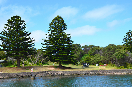 Battery Hill Reserve 01