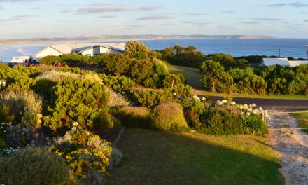 Surreal Landscapes of Cape Bridgewater