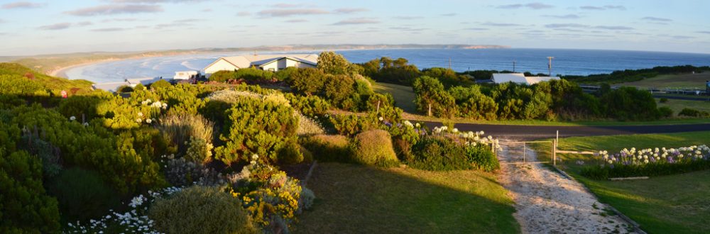 Surreal Landscapes of Cape Bridgewater