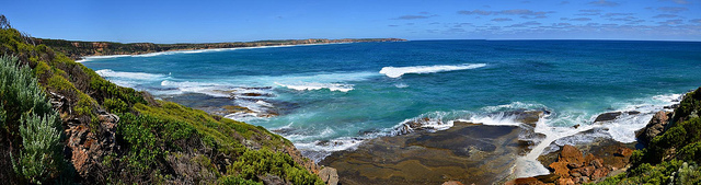 Enchanted Forest Lookout A