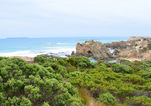 View of Lady Julia Percy Island from The Crags