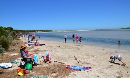 Livingstone Island, Nelson