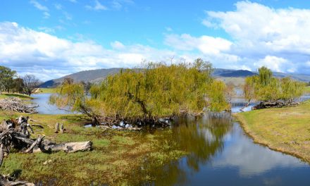 Trip to Lake Hume