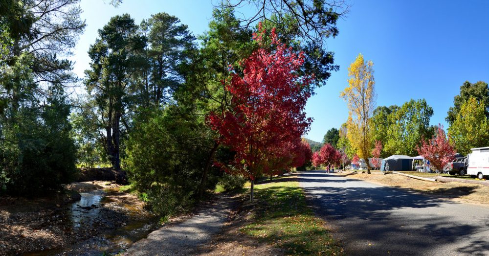 Lake Sambell Caravan Park A