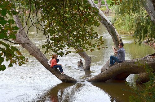 Murray River  26