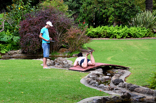 Albury Botanic Gardens 08