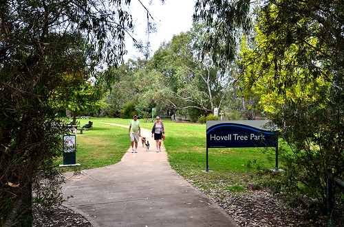 Hovell Tree Park  01