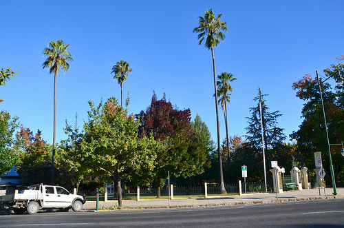 Soldiers Memorial Park 02