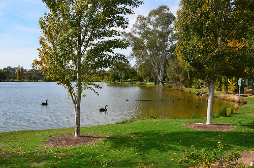 Belvoir Park 04