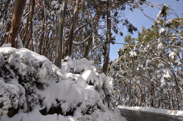 Places to visit in Melbourne during winter Beautiful Altona