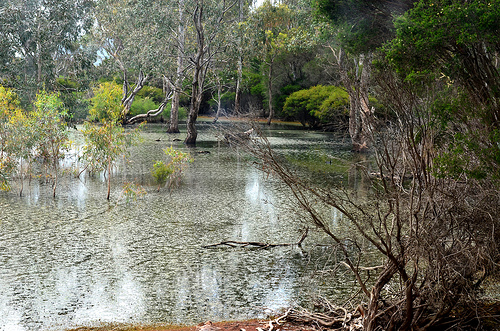 Lake Serendip 07