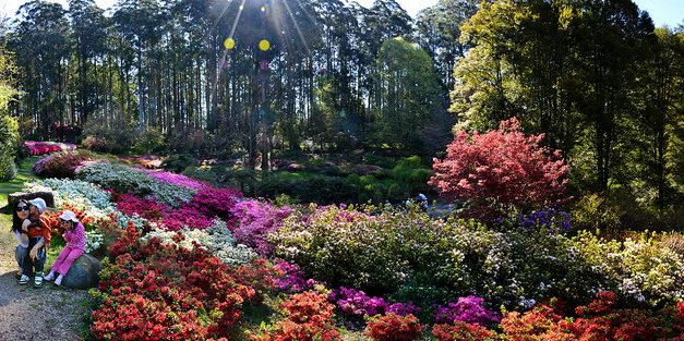 National Rhododendron Gardens