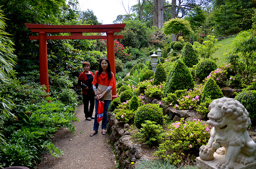 Japanese Garden 03